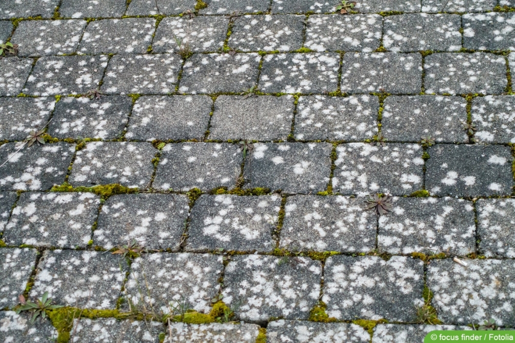Wie Kann Ich Die Weißen Flecken Auf Dem Pflastersteine Entfernen www.hausgarten.net