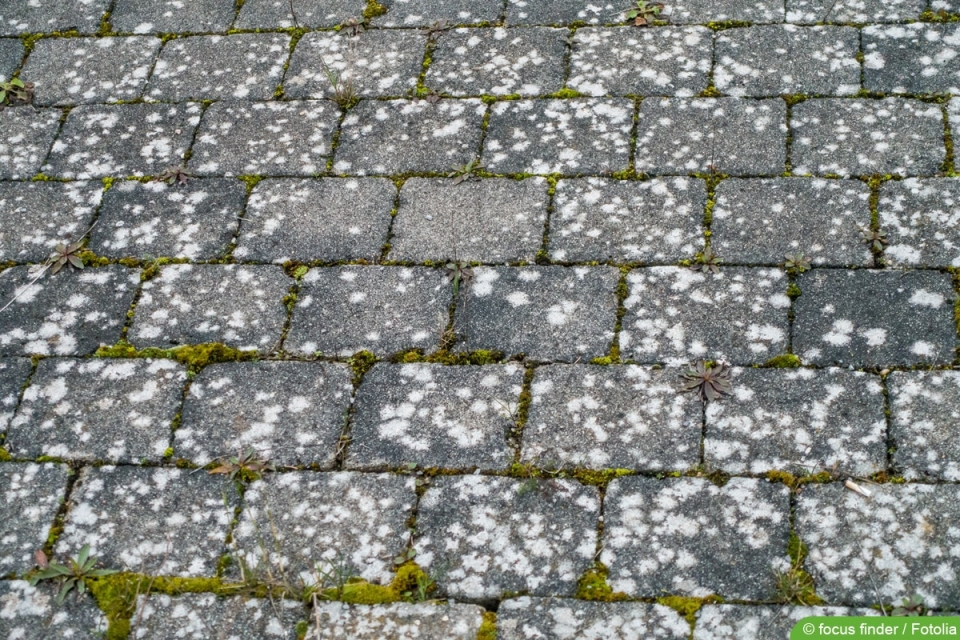 59+ Weisse Flecken Auf Naturstein Entfernen, Wenn diese substanzen