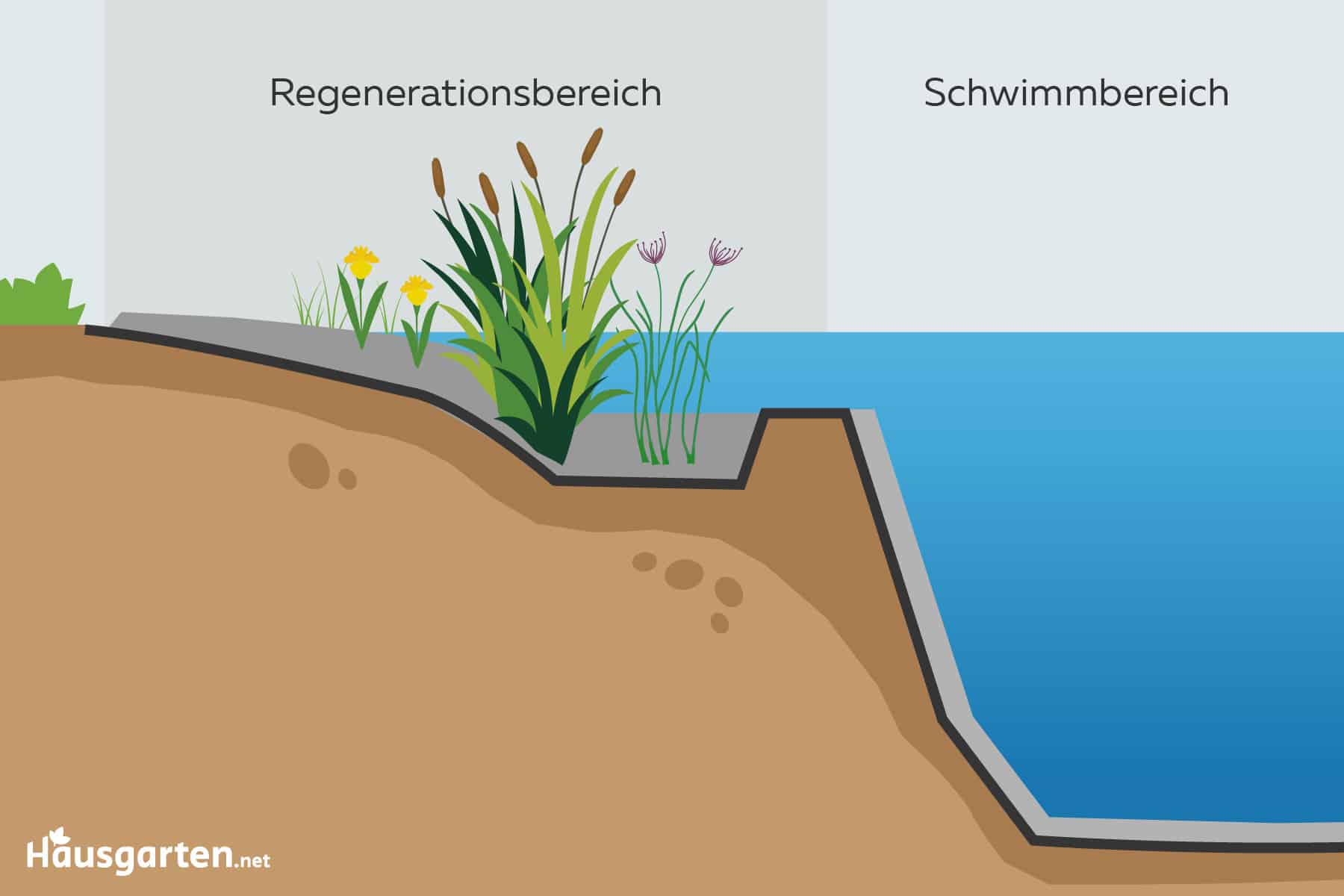 Naturpool / Schwimmteich: verschiedene Zonen