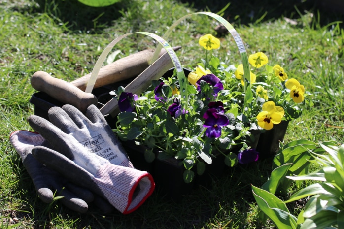 Arbeit im Garten