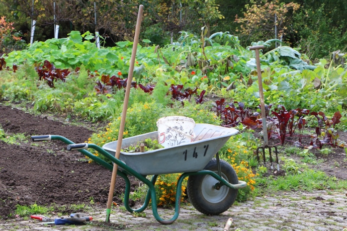 Gartenarbeit Gartengeräte