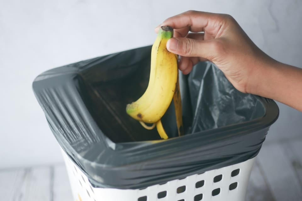 Bananenschale als Dünger 20 Pflanzen