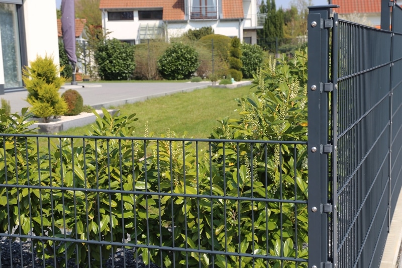 Doppelstabmattenzaun erhöhen so gelingt es