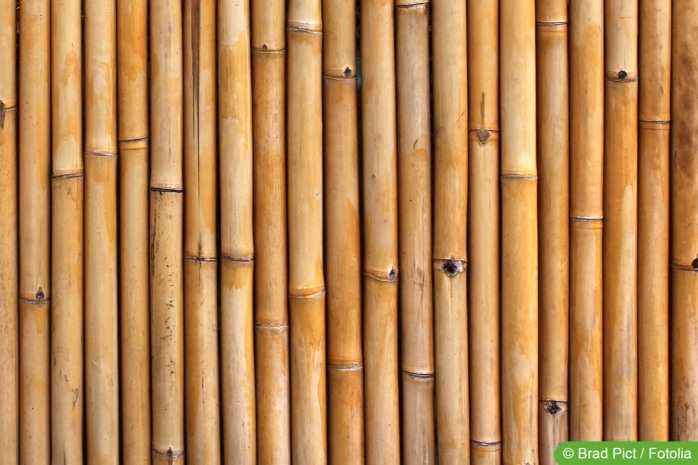 Bambus-Zaunelement als Sichtschutz