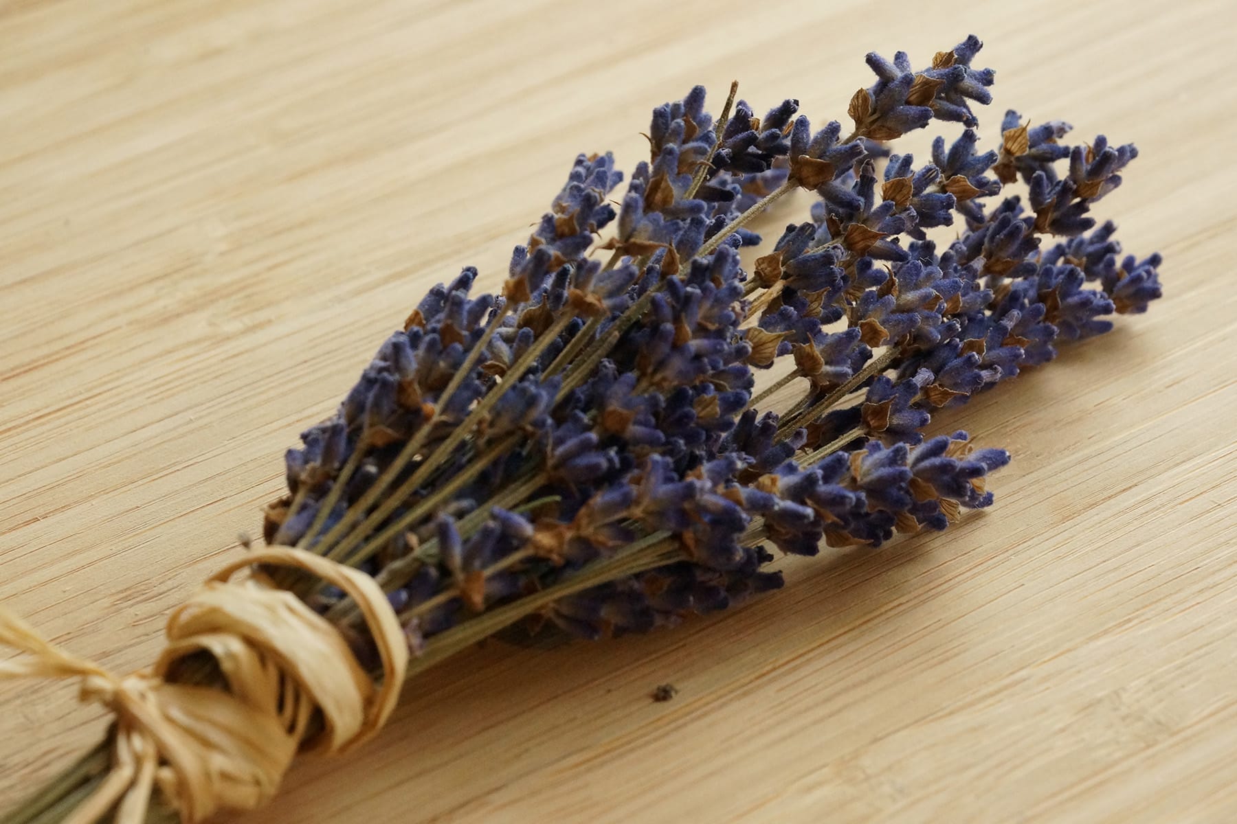 Lavendel gegen Spinnen so gelingt die Anwendung