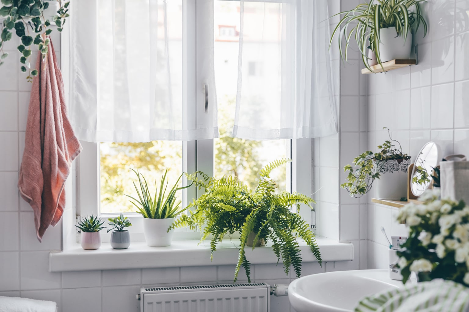 Klebereste vom Fenster entfernen so geht