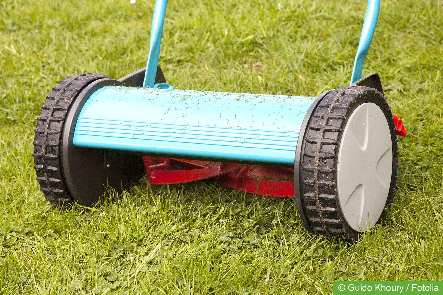 Für wen lohnt sich ein Spindelmäher?