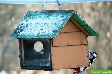 Vogelhaus ohne Baum aufhängen